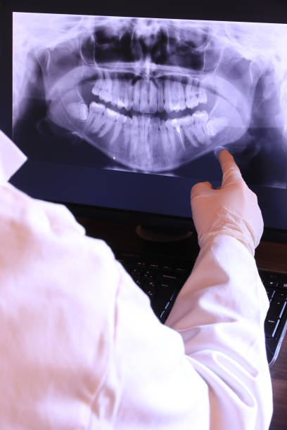 Best Emergency X-Rays and Diagnostics in Cle Elum, WA
